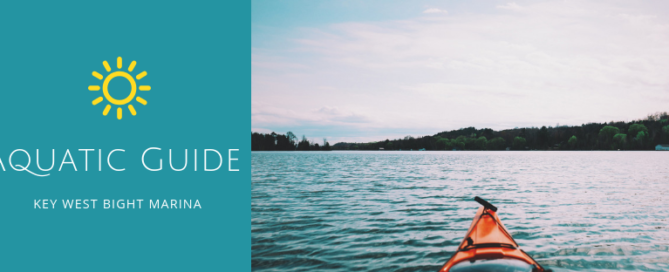 Aquatic guide blog