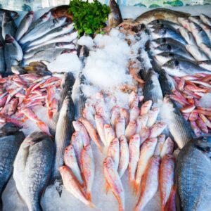 fish caught by a commercial fisherman in a pile at the market