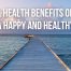 mental health benefits of the sea for a happy healthy 2023 key west bight marina