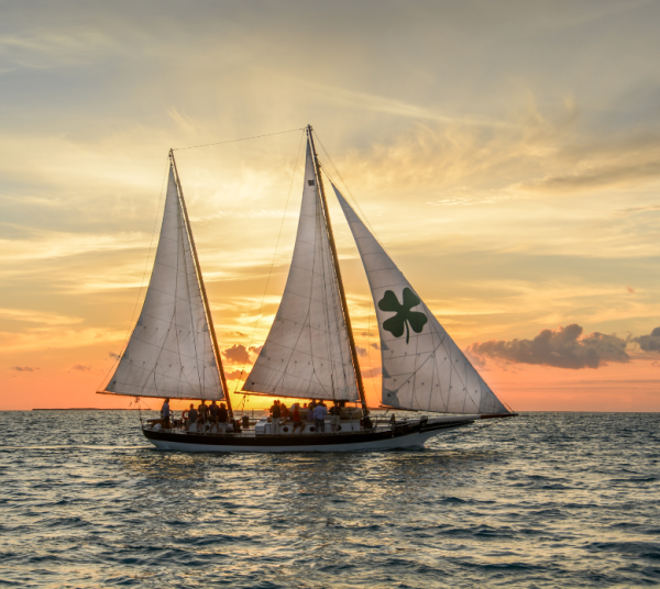 schooner appledore sunset sailing picture