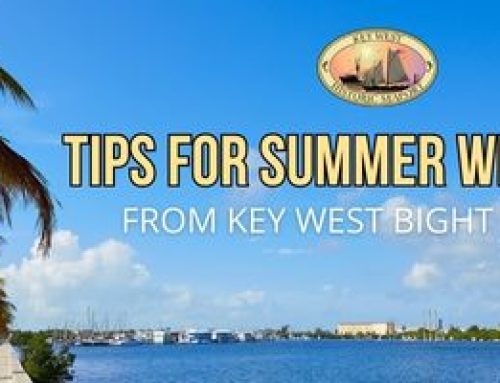 Five Tips for Summer Wellness from Key West Bight Marina