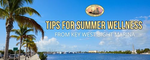 summer wellness key west bight marina