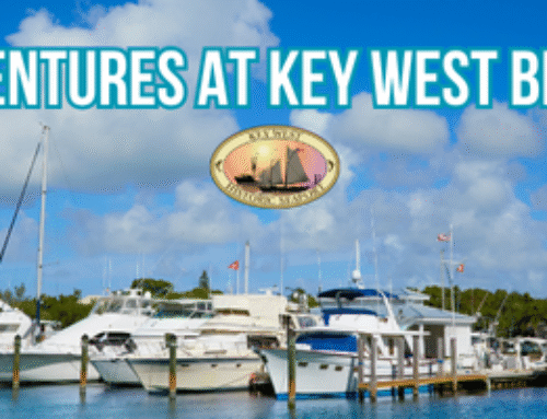 August Adventures at Key West Bight Marina